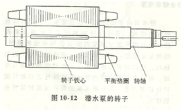 潛水泵轉(zhuǎn)子示意圖