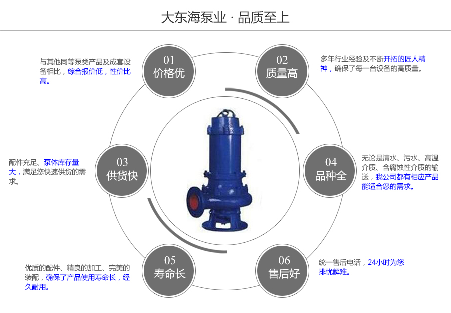 大東海泵業(yè)潛水式排污泵質量保證圖