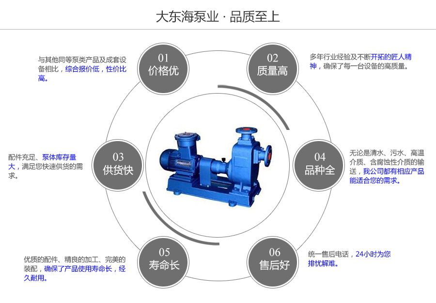 大東海泵業(yè)自吸式油泵質(zhì)量保證圖