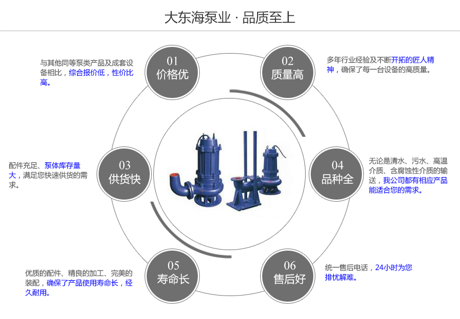 大東海泵業(yè)WQ型工程污水泵質(zhì)量保證圖